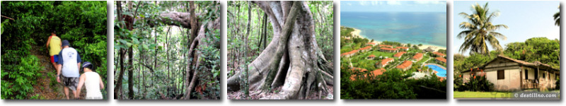 Hiking Tour, Jibacoa, Cuba